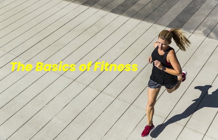 The Basics of Fitness