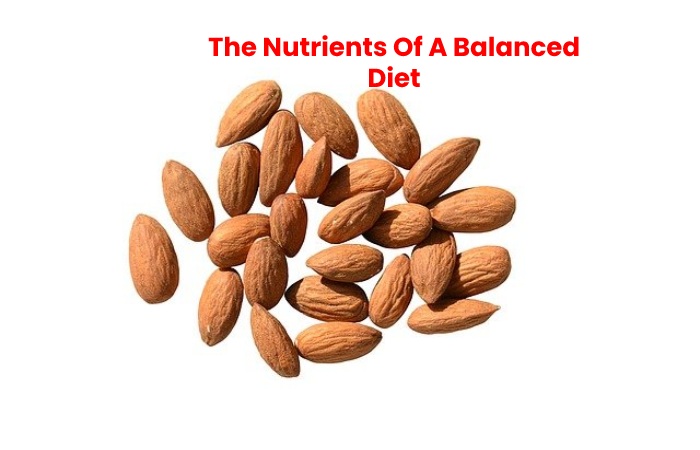 The Nutrients Of A Balanced Diet