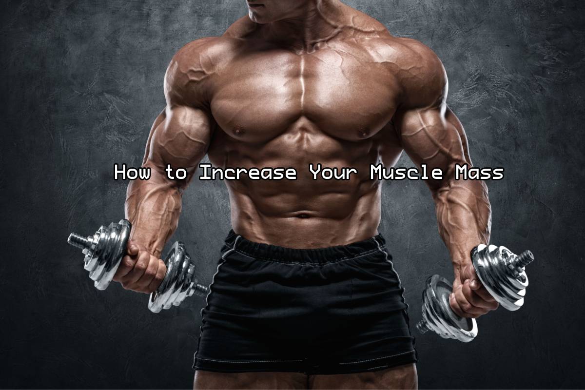 How To Increase Your Muscle Mass 11 Tips