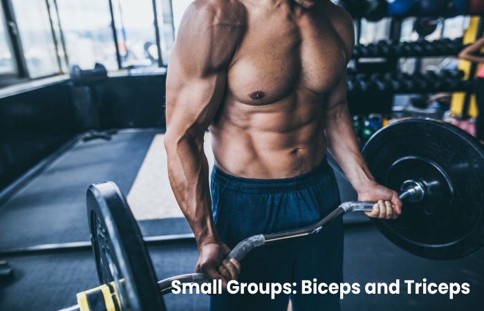 Small Groups: Biceps and Triceps.