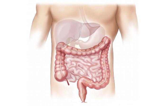 Some Benefits Of Colon Hydrotherapy