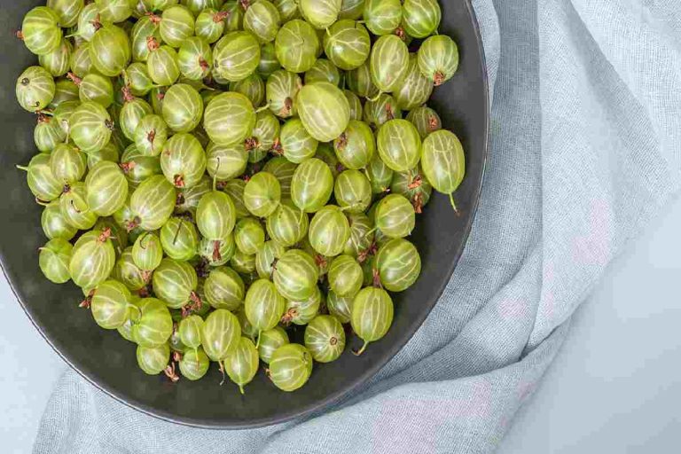 9 Amla Juice Benefits That Will Make You Drink It