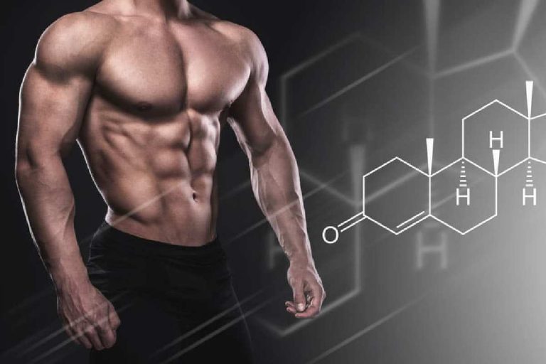 The Four Most Important Hormones for Muscle Building