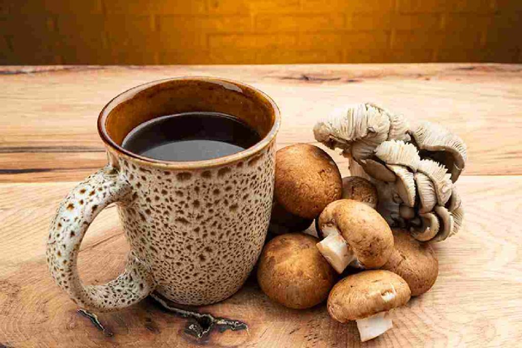 Mushroom Tea vs. Medicinal Mushroom Gummies